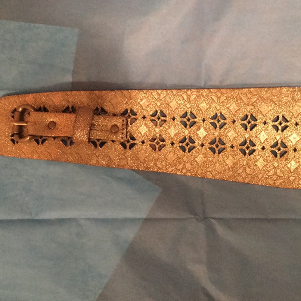 Beautiful Fossil Gold Color Embossed Leather Belt - image 4
